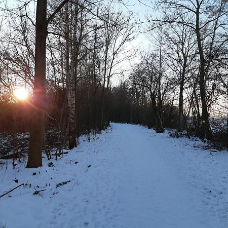 Vakantiehuis Aan Het Bos - Gelegen Aan De Tulpenroute Bant Kültér fotó