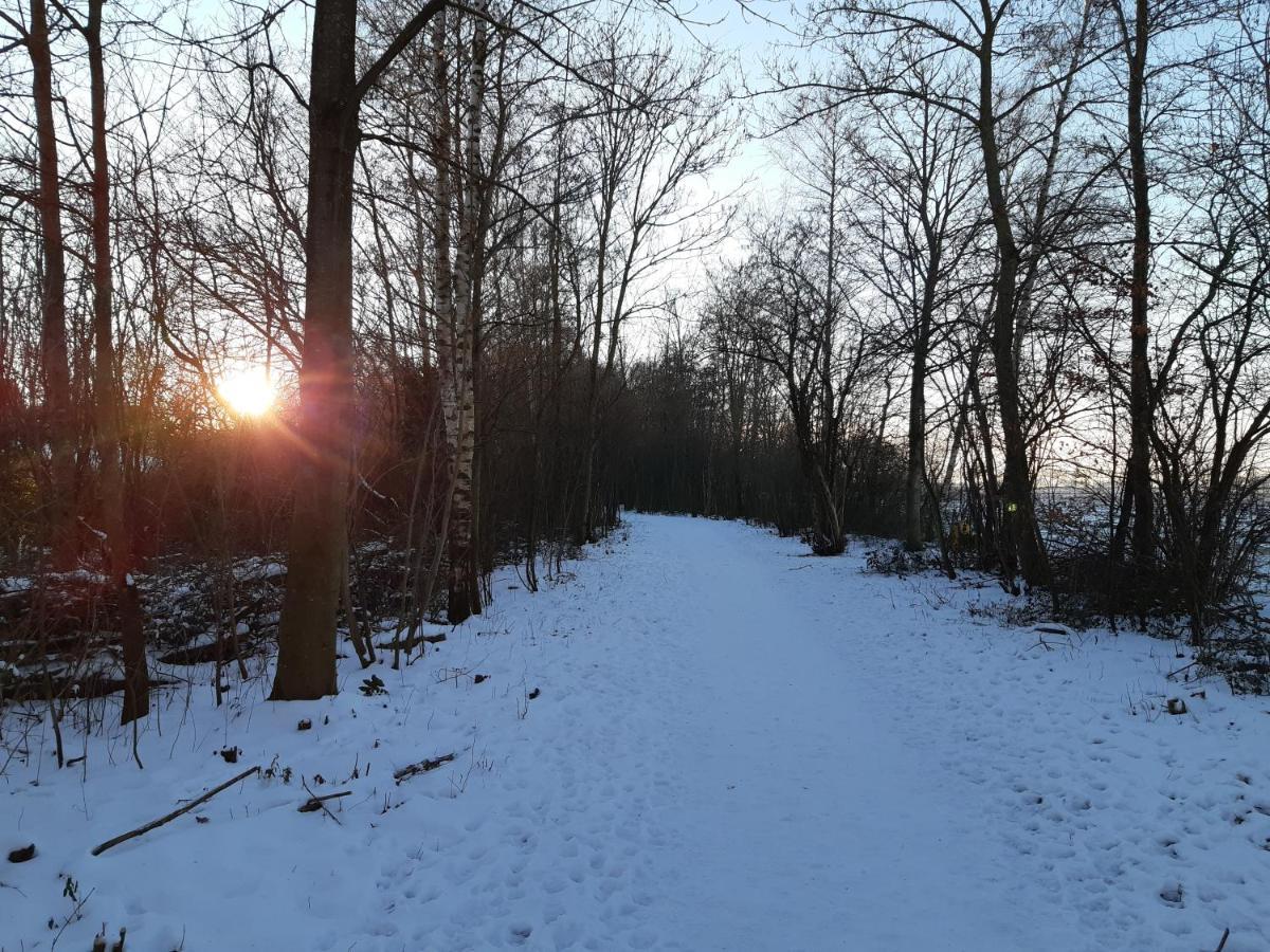 Vakantiehuis Aan Het Bos - Gelegen Aan De Tulpenroute Bant Kültér fotó