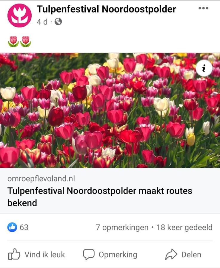 Vakantiehuis Aan Het Bos - Gelegen Aan De Tulpenroute Bant Kültér fotó
